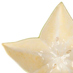 Saladier étoile De Mer En Dolomite Vert Et Jaune D28cm 7 Saladier étoile De Mer En Dolomite Vert Et Jaune D28cm -Magasin De Vaisselle Pour La Maison saladier etoile de mer en dolomite vert et jaune d28cm 40642 40642 DET02 WEB